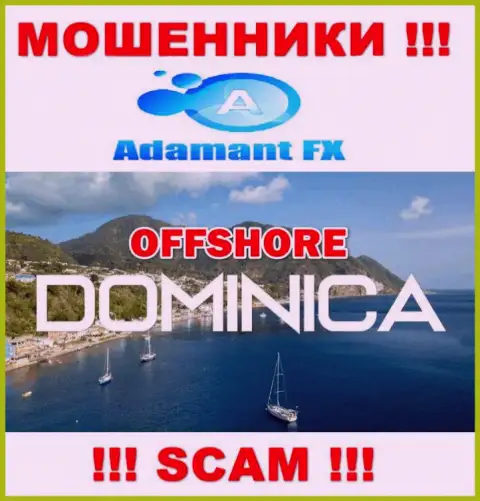 Adamant FX беспрепятственно грабят, ведь разместились на территории - Доминика