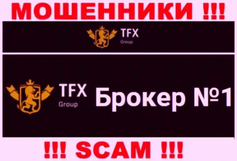 Не стоит доверять деньги TFX FINANCE GROUP LTD, ведь их сфера работы, FOREX, обман