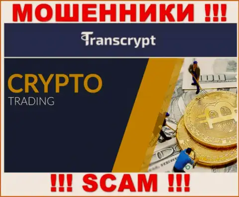 TransCrypt - это разводилы !!! Направление деятельности которых - Крипто трейдинг