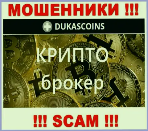 Род деятельности интернет мошенников DukasCoin - это Crypto trading, но помните это надувательство !