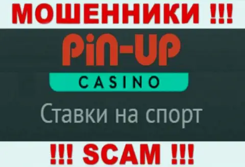 Основная деятельность Pin Up Casino - это Казино, будьте бдительны, прокручивают делишки неправомерно