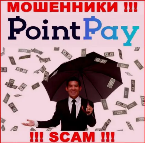Не угодите в грязные руки интернет кидал Point Pay LLC, деньги не заберете назад