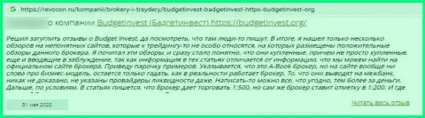 Автор отзыва пишет, что Budget Invest - это ШУЛЕРА !!! Сотрудничать с которыми не нужно