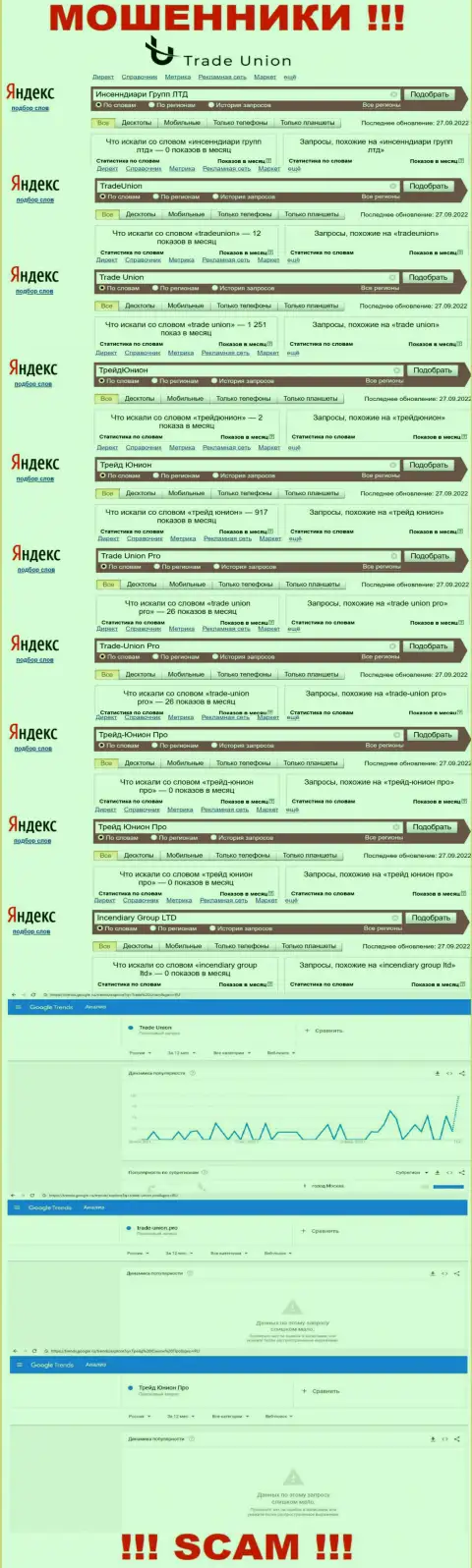 Поисковые запросы по интернет-кидалам Trade-Union Pro