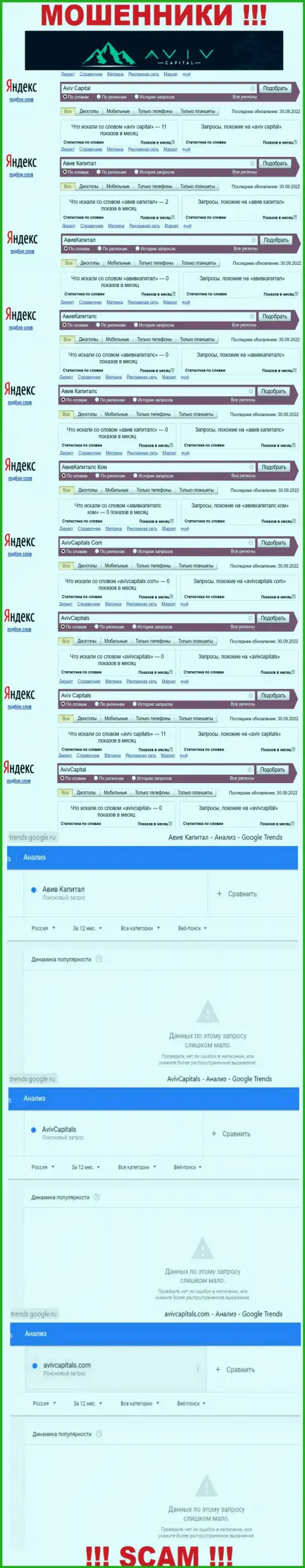 Статистические показатели поиска данных об коварных жуликах Авив Капитал