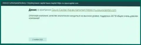 Организация Cauvo Capital описана в отзыве на сайте Ревокон Ру