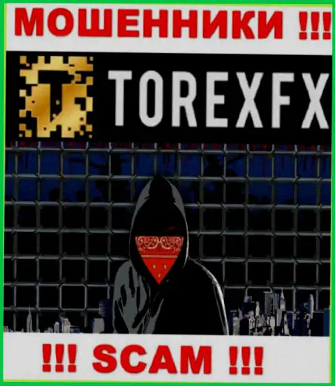 TorexFX не разглашают информацию об руководстве компании